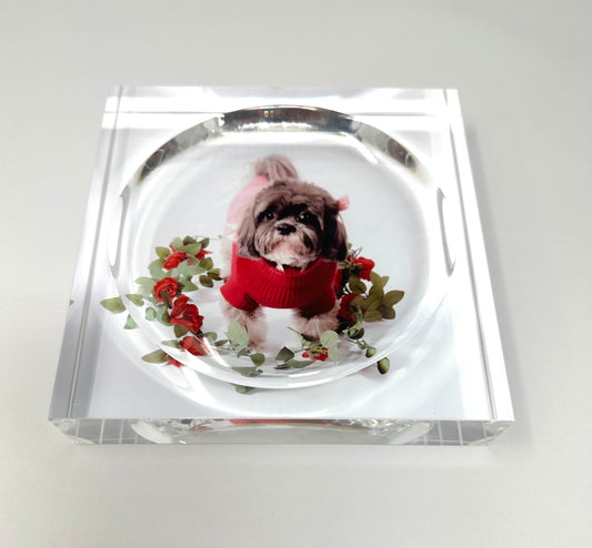 Custom Pet Acrylic Catchall Candy Dish Tray